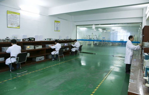 精準(zhǔn)可靠，全面覆蓋——世通儀器校準(zhǔn)計(jì)量檢測中心為您提供專業(yè)的技術(shù)服務(wù)與產(chǎn)品支持